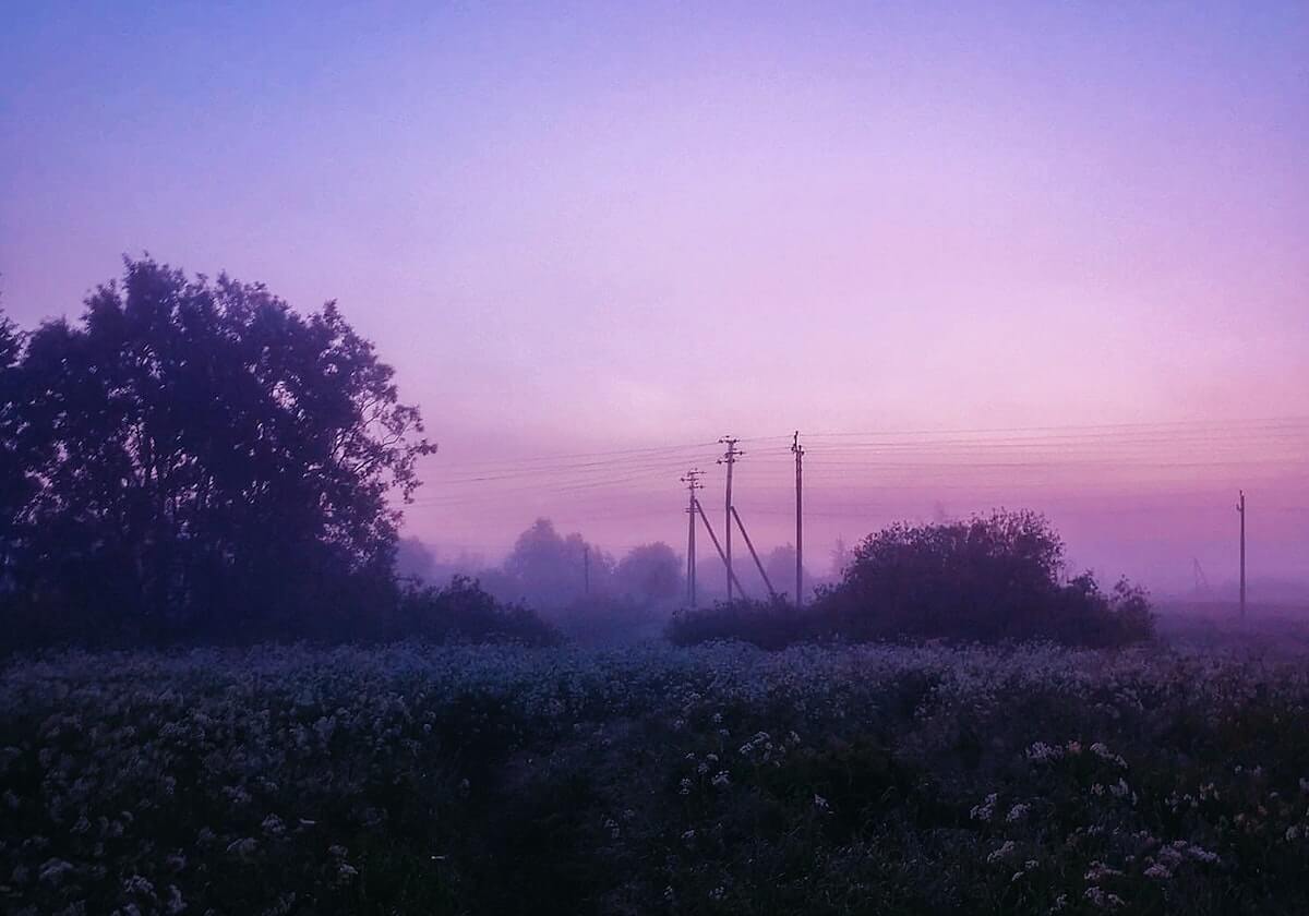 开云官方网站：开启数字生活的新入口